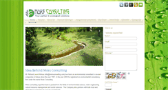 Desktop Screenshot of moksconsulting.com